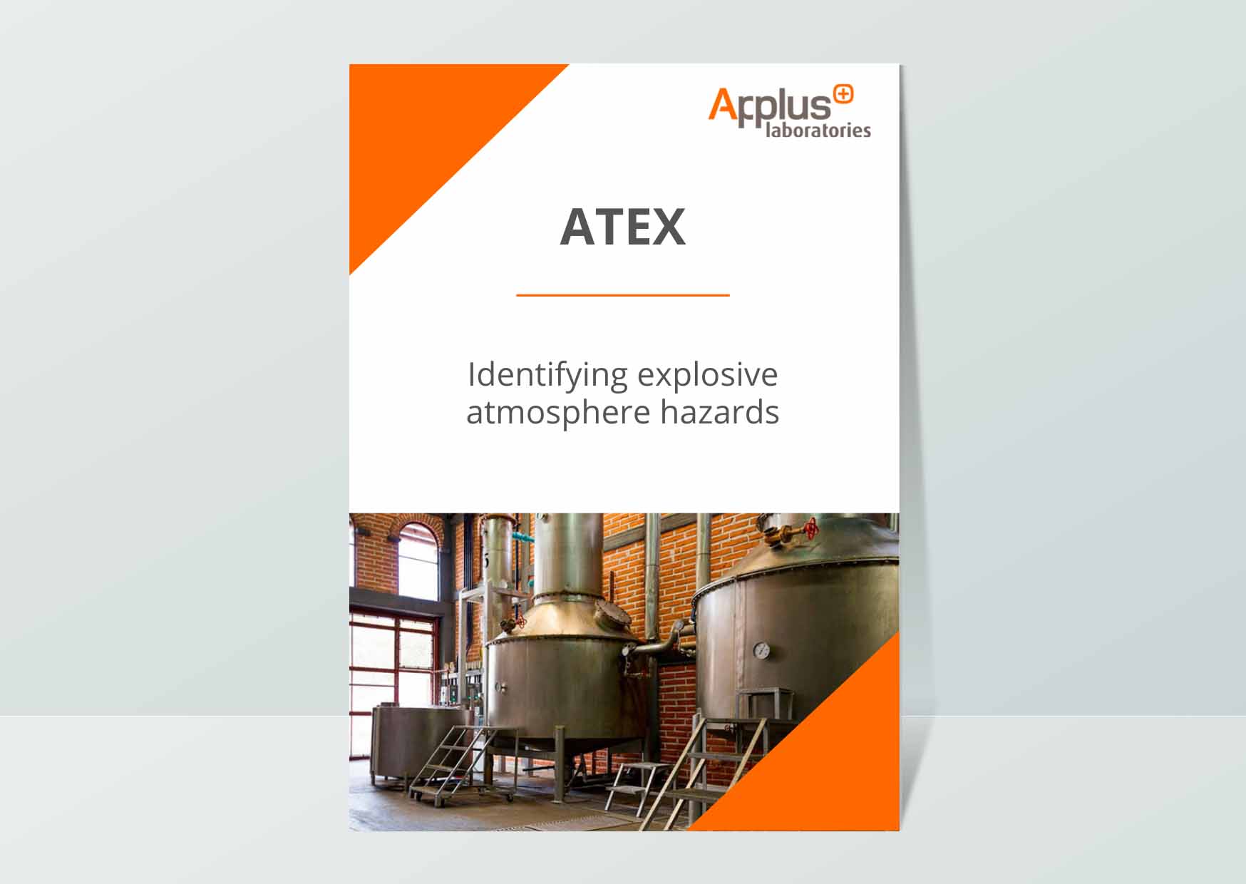 ATEX in workplaces Basic guide to identify explosive atmosphere